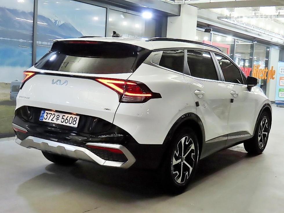 2024 - kia sportage