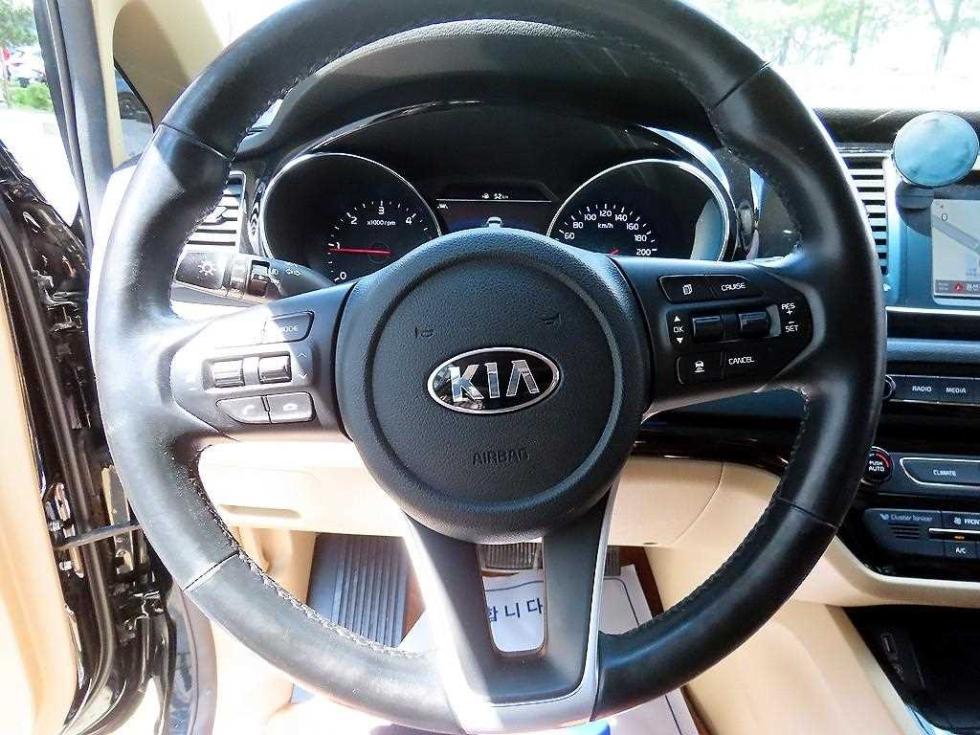 2019 - kia carnival