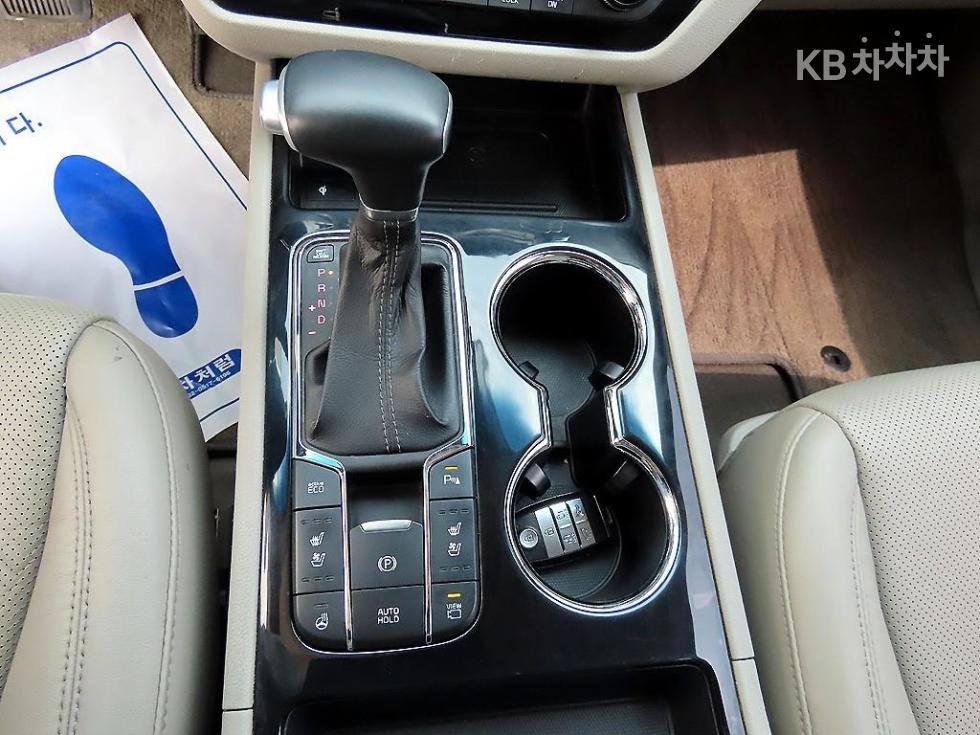 2019 - kia carnival
