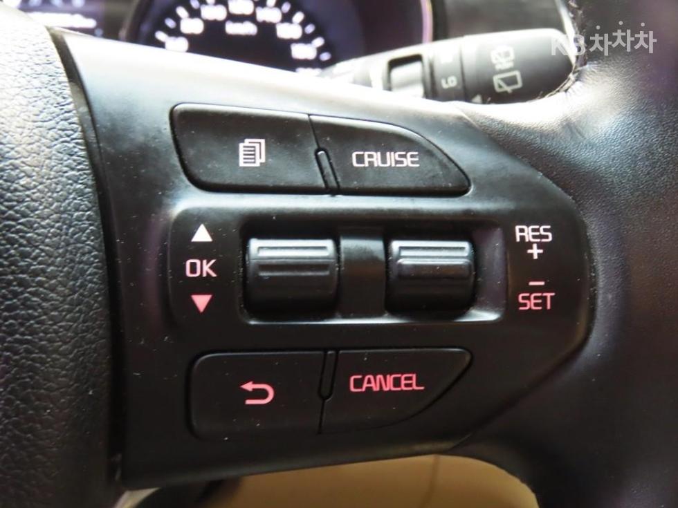 2018 - kia carnival
