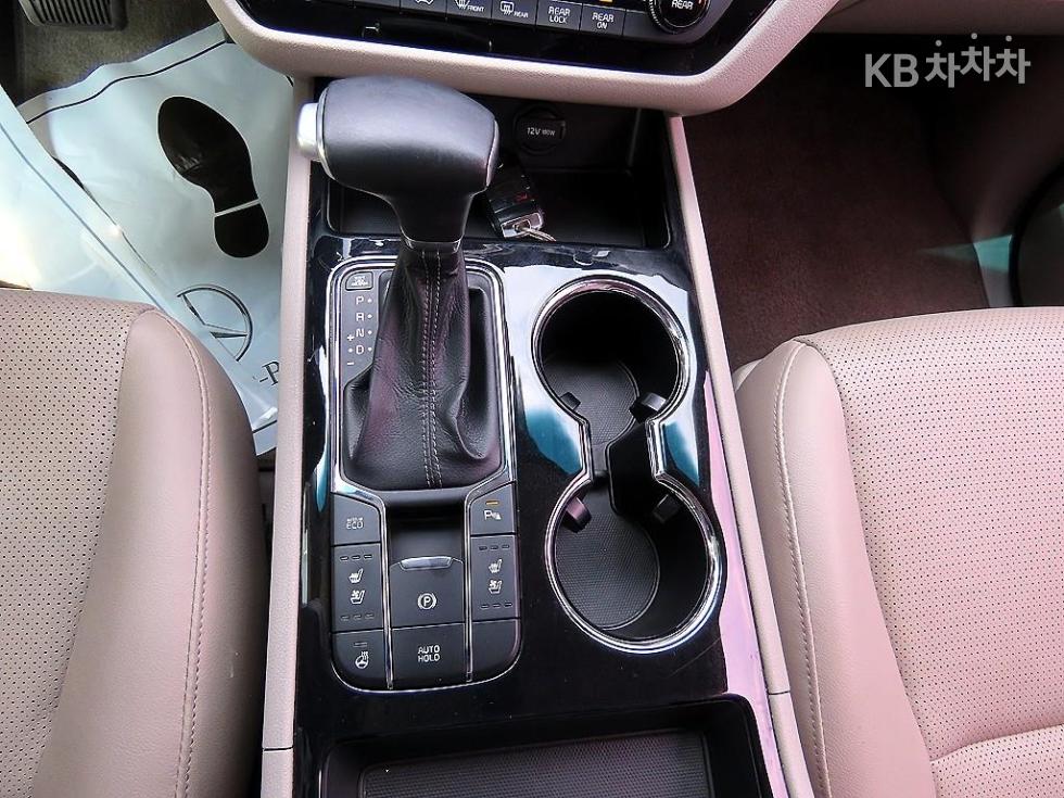 2019 - kia carnival