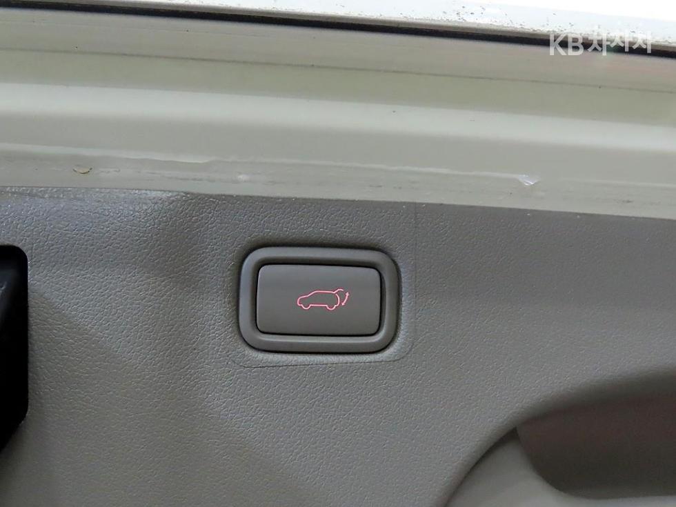 2019 - kia carnival