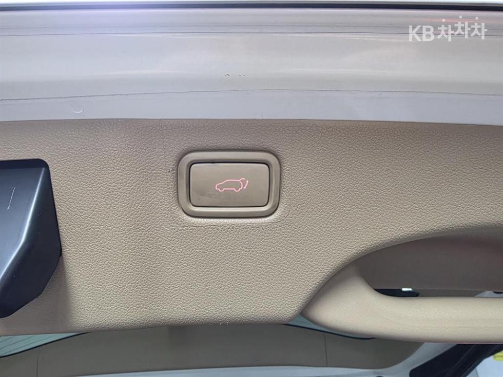 2019 - kia carnival