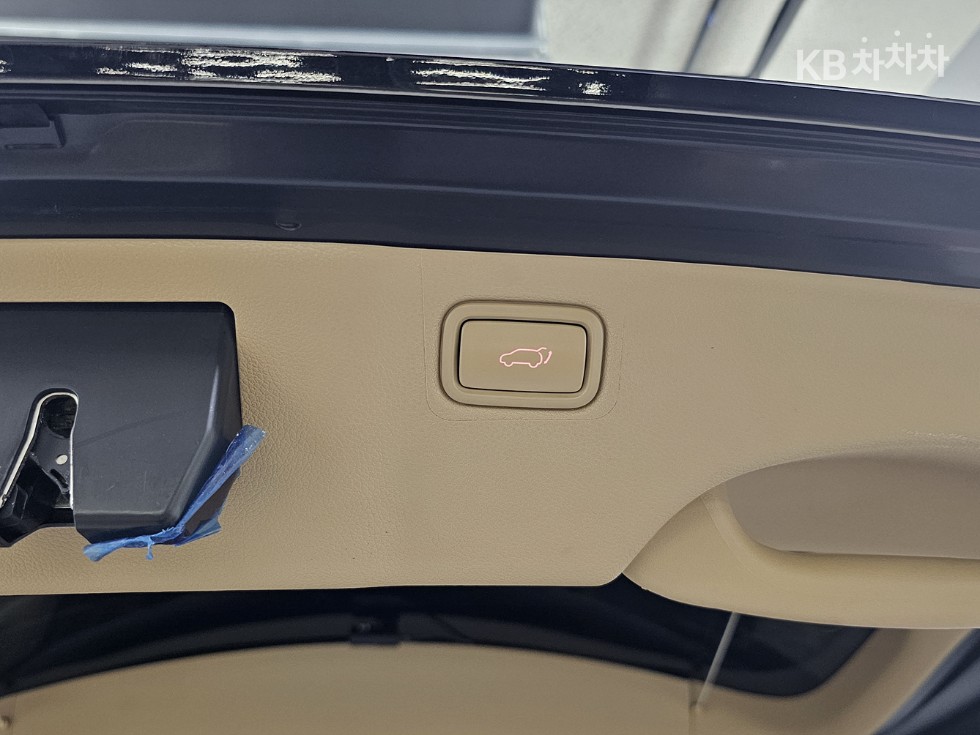 2019 - kia carnival