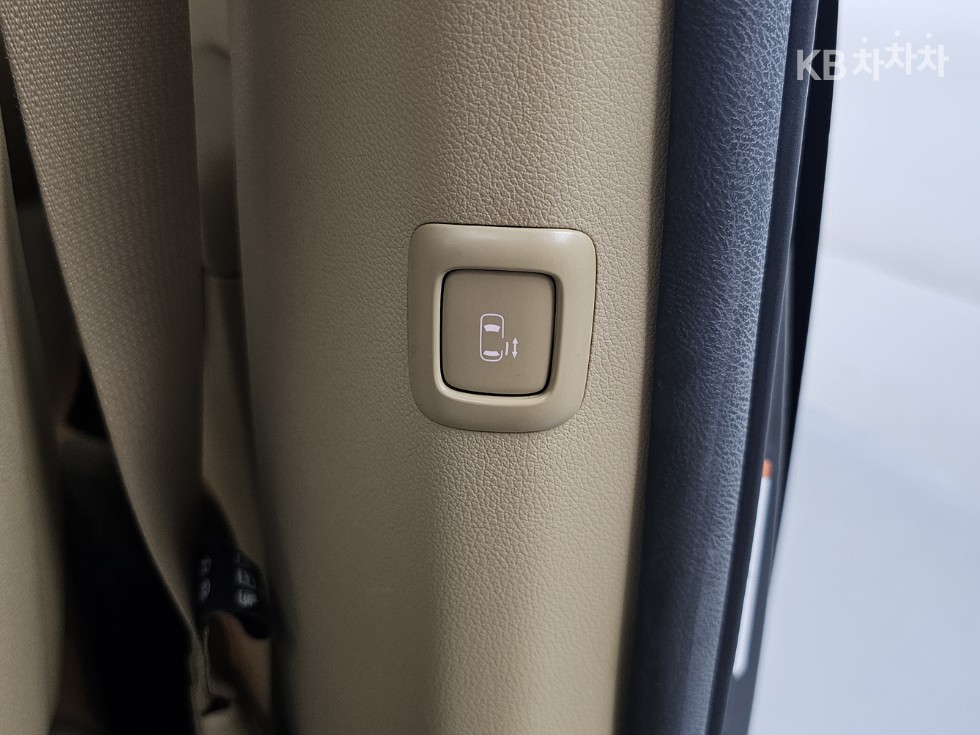 2019 - kia carnival