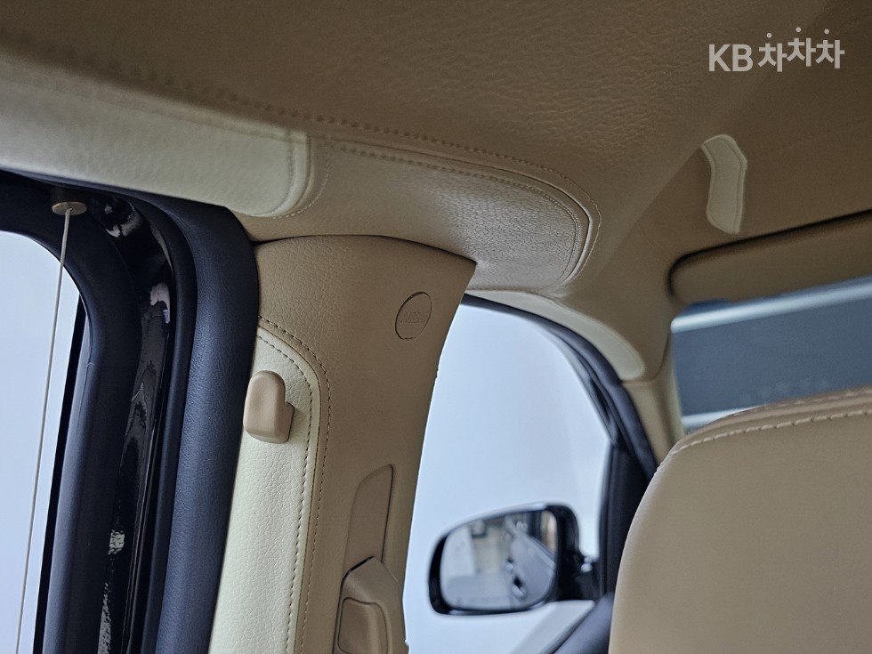 2019 - kia carnival
