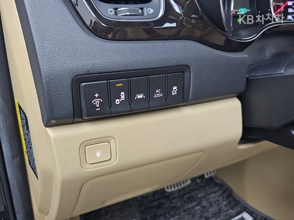 2019 - kia carnival