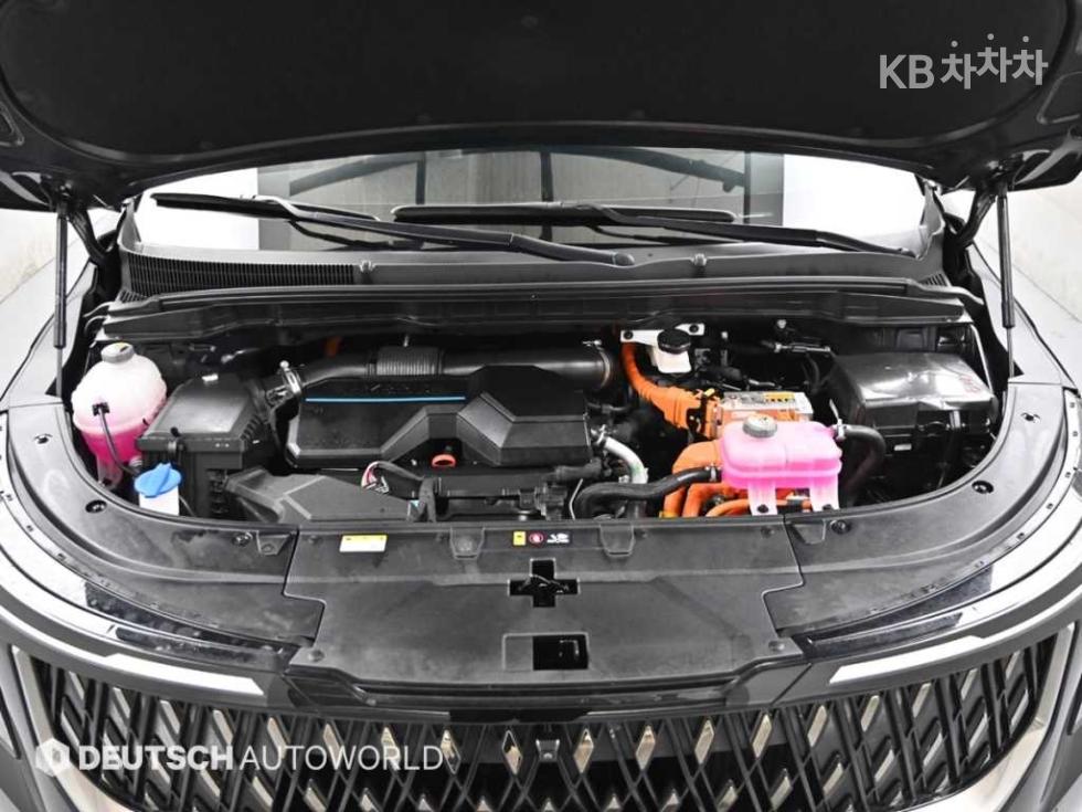 2024 - kia carnival