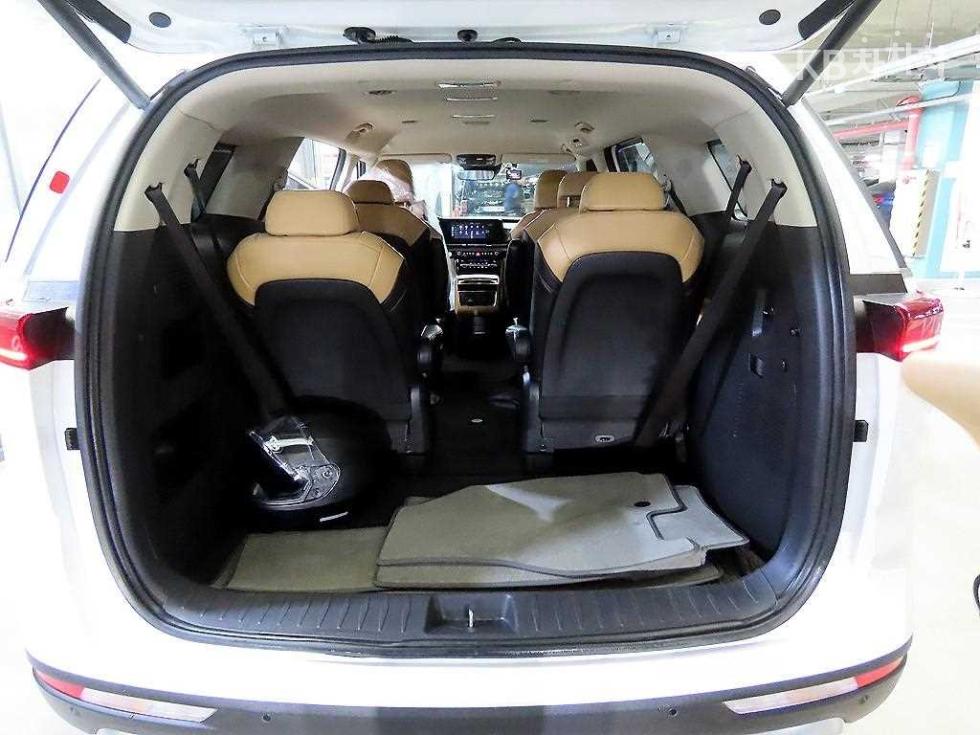 2021 - kia carnival