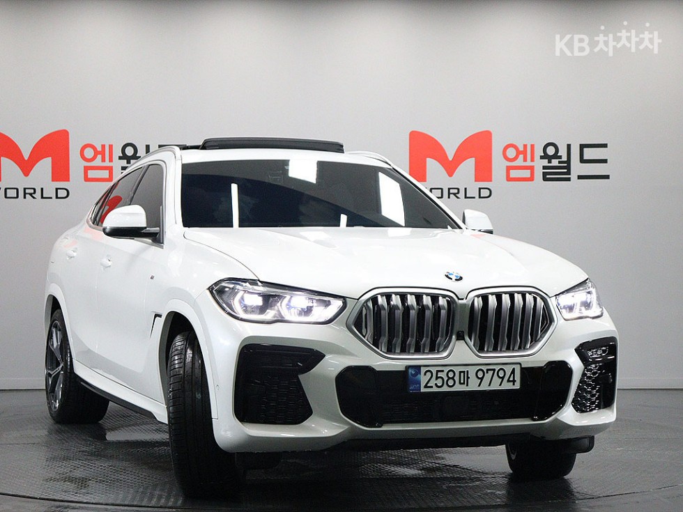 2023 BMW BMW X6(G06) photo