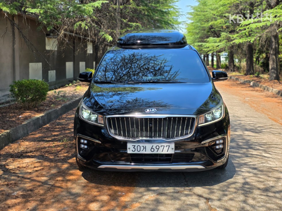 2019 - kia carnival