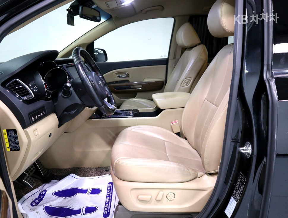 2018 - kia carnival