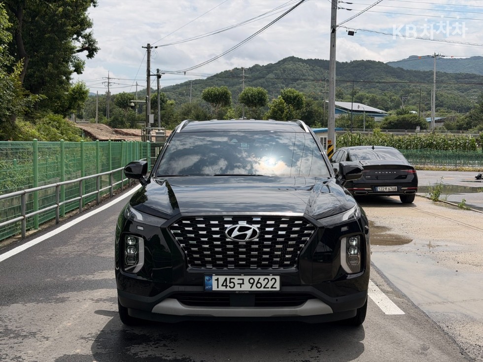 Hyundai Palisade — miniaturë 2