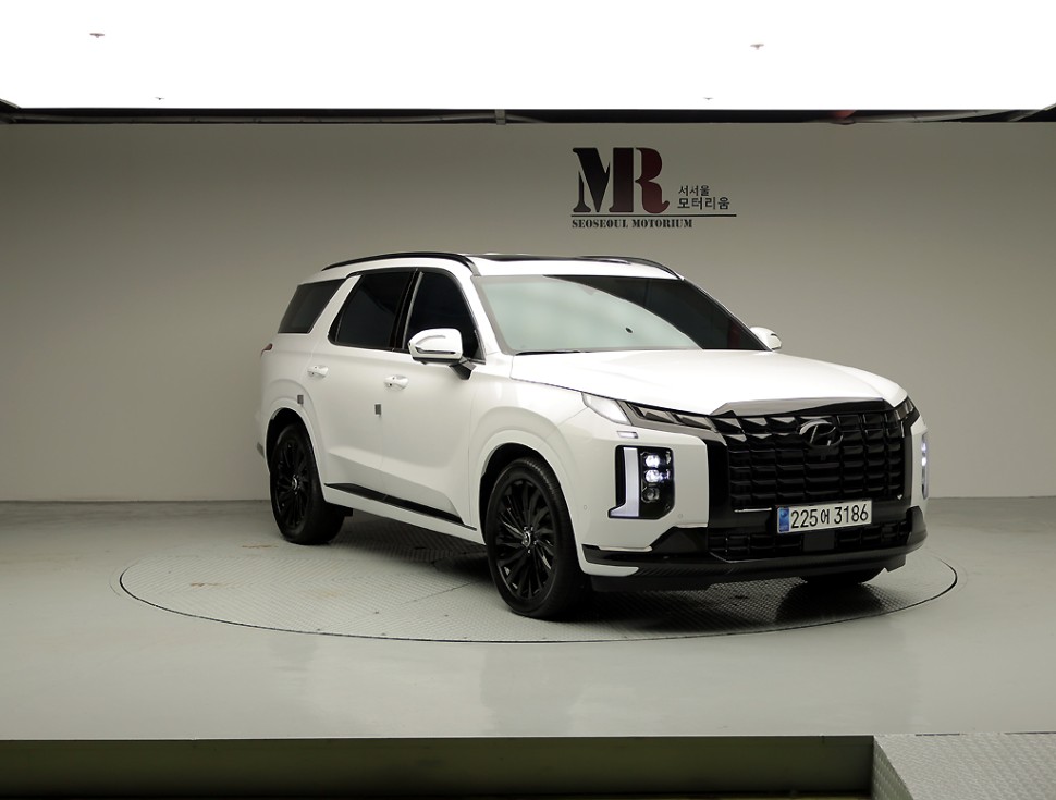 Hyundai Palisade — miniaturë 2