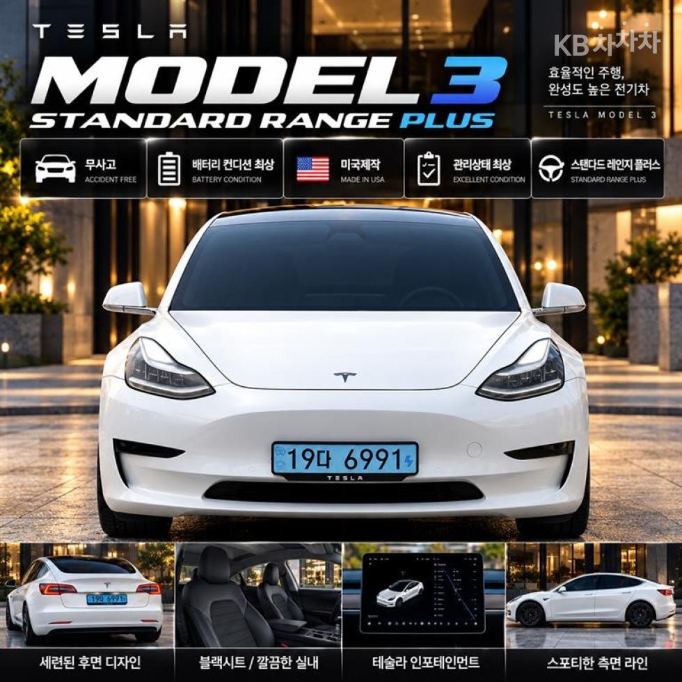 테슬라 모델 3 2020년식 테슬라 Model 3 Standard Range Plus