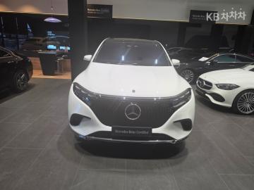 Mercedes EQS SUV (X296) EQS SUV 450 4Matic basic model