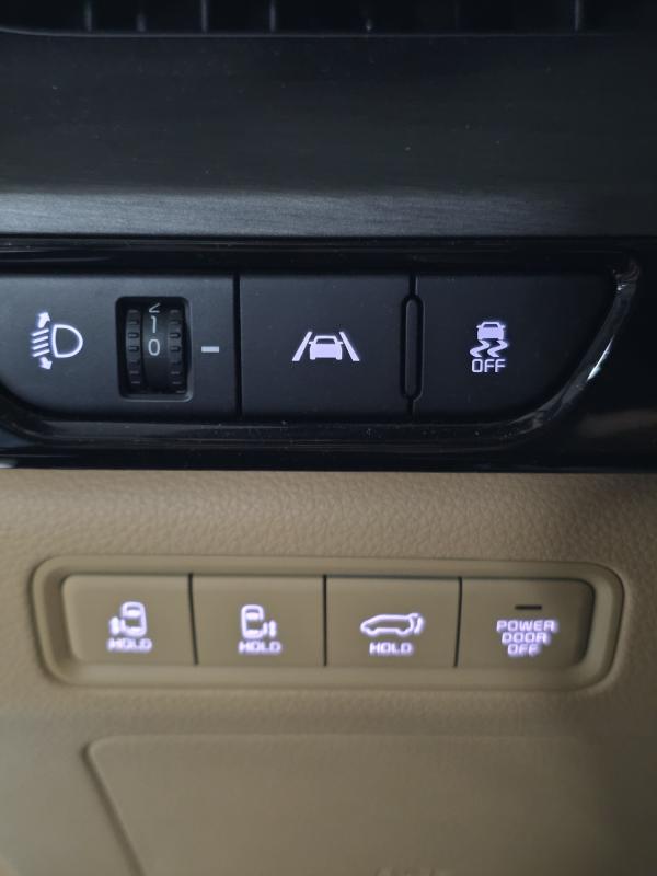Kia Carnival — miniaturë 14