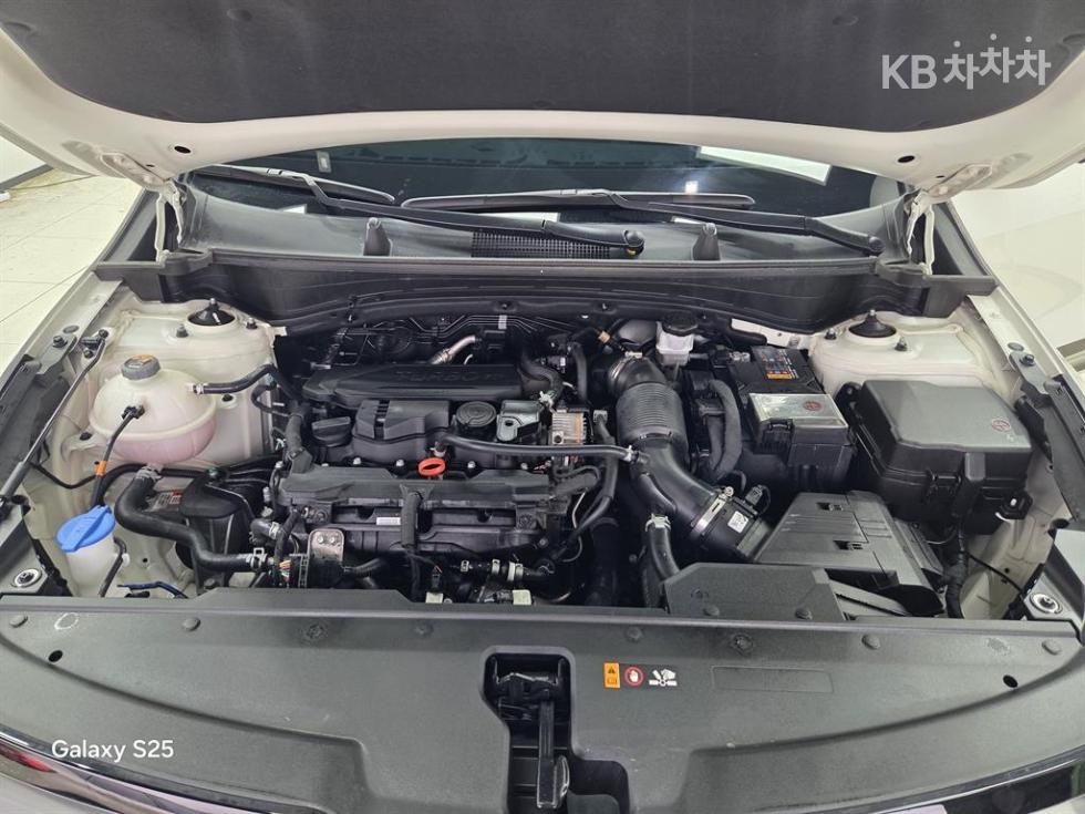2023 - kia sportage