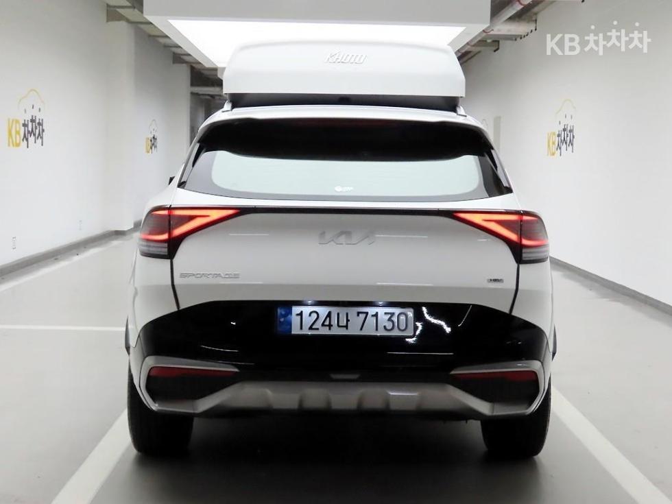 2024 - kia sportage