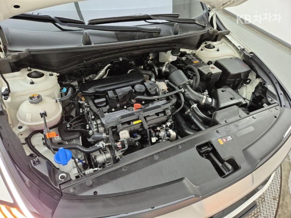 2024 - kia sportage