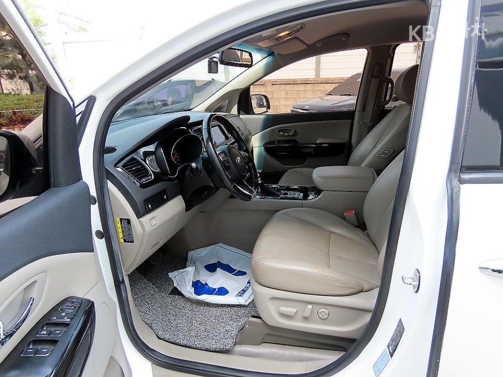 2019 - kia carnival