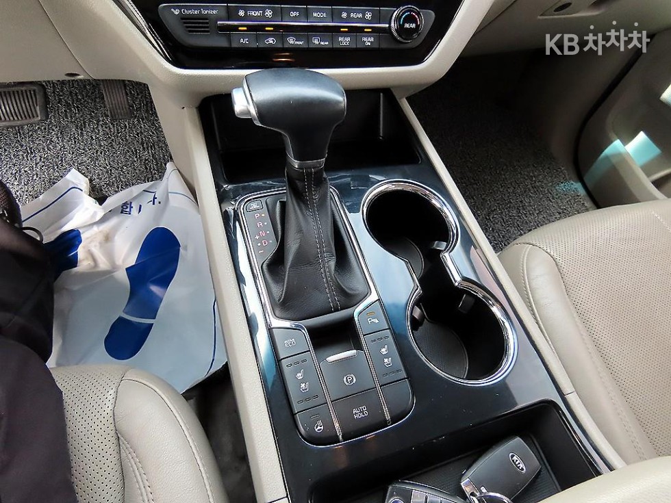 2019 - kia carnival