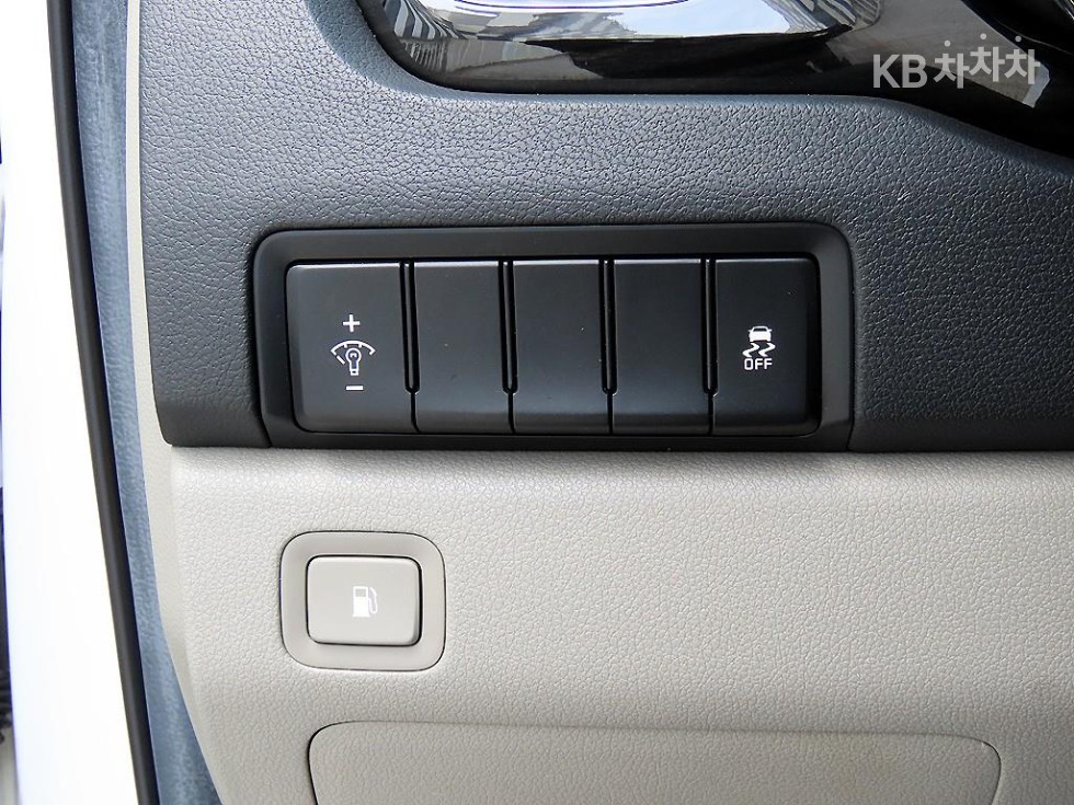 2019 - kia carnival