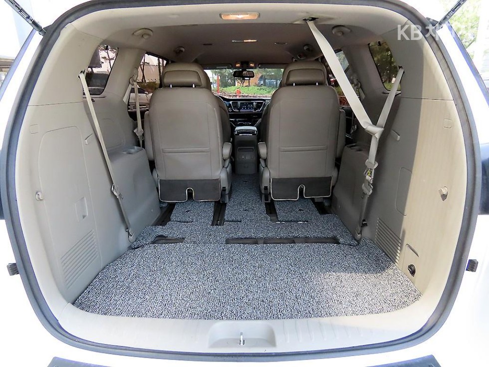2019 - kia carnival
