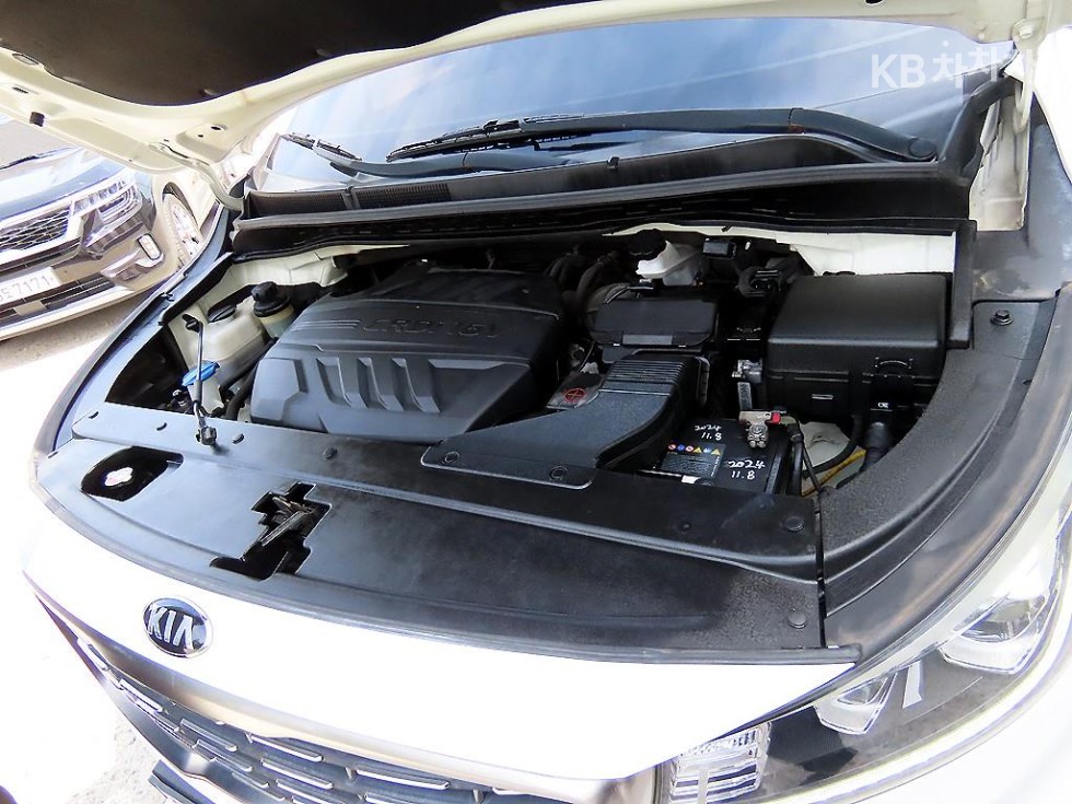 2019 - kia carnival