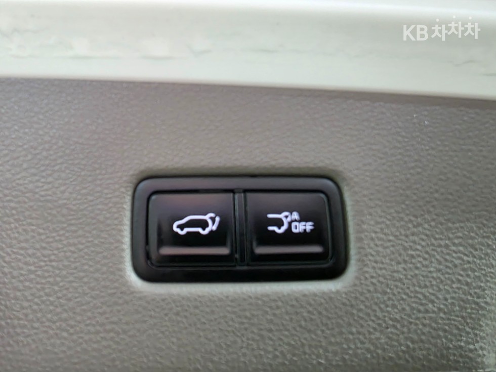 2021 - kia carnival