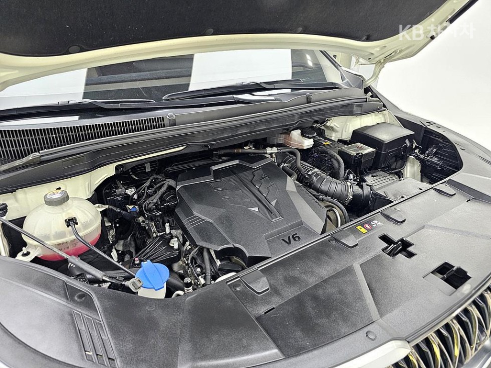 2021 - kia carnival