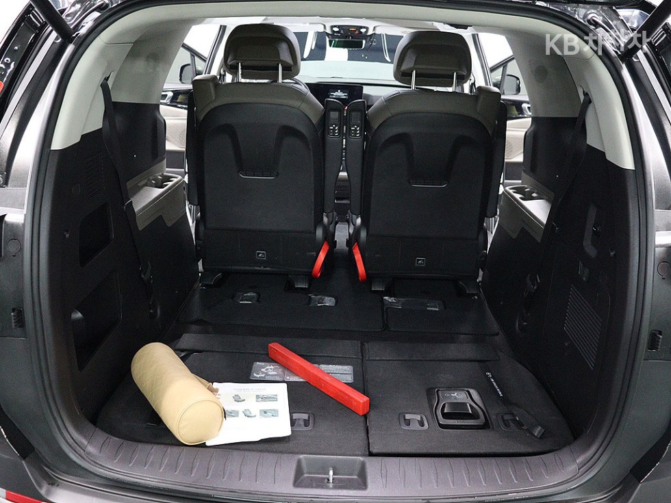 2024 - kia carnival