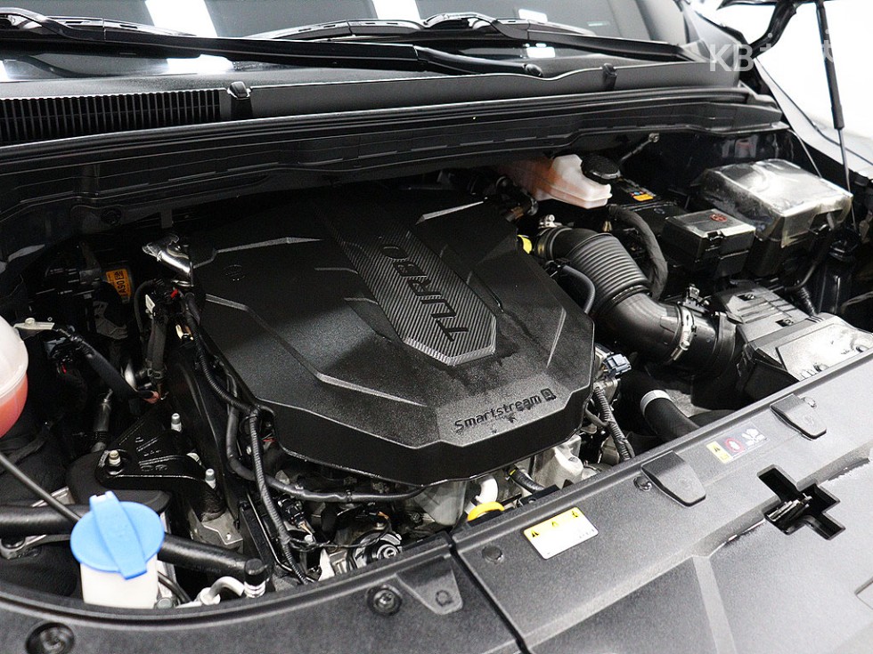 2024 - kia carnival