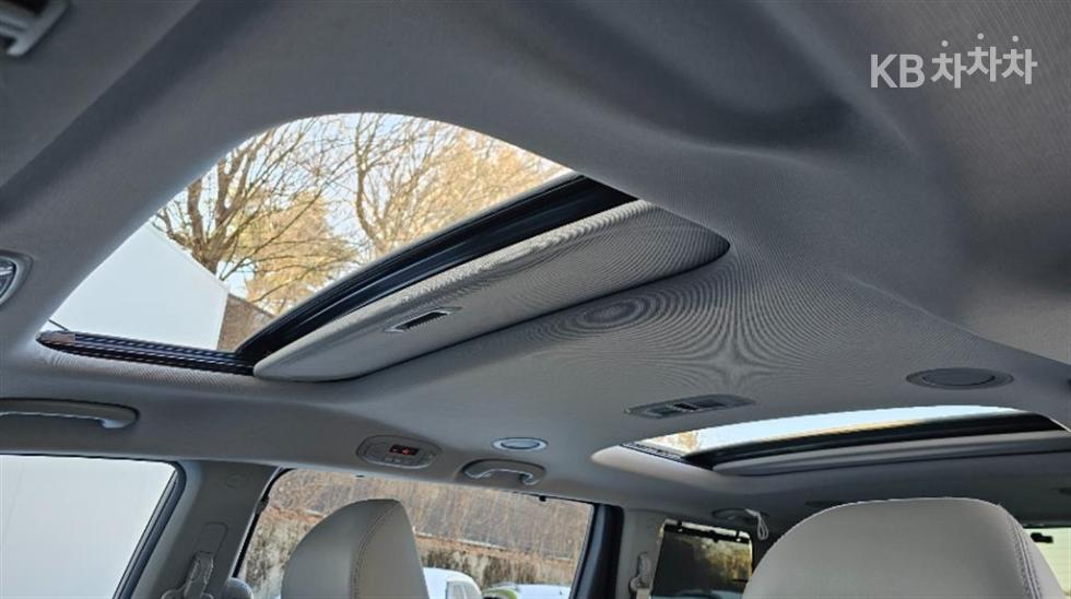 2019 - kia carnival