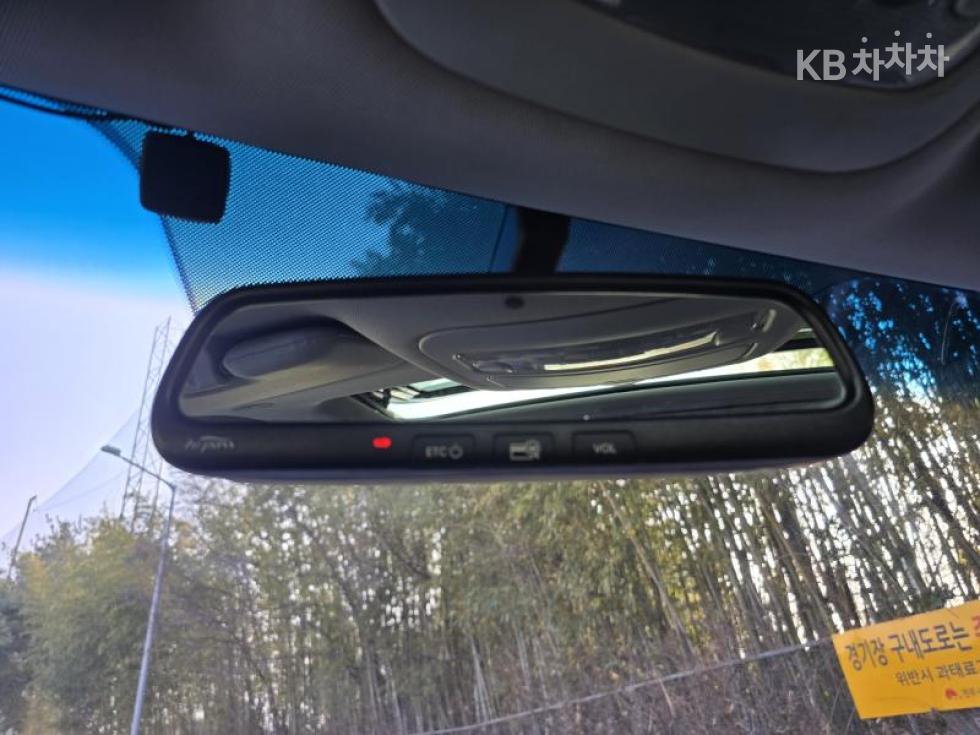 2017 - kia carnival