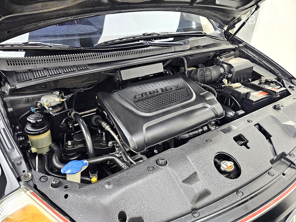2013 - kia carnival
