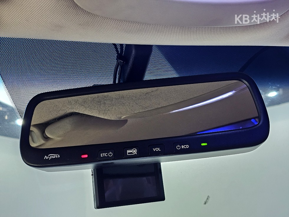 2013 - kia carnival