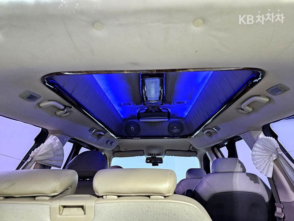 2013 - kia carnival