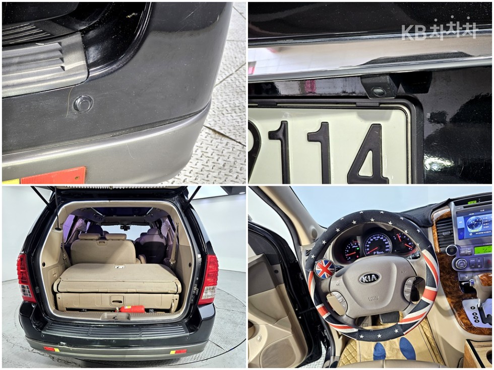 2013 - kia carnival