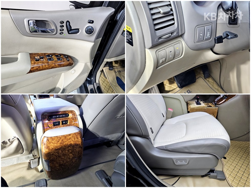 2013 - kia carnival