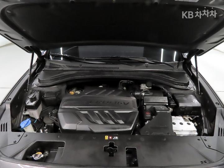 Hyundai Santa Fe TM Diesel 2.0 2WD Exclusive Special 7