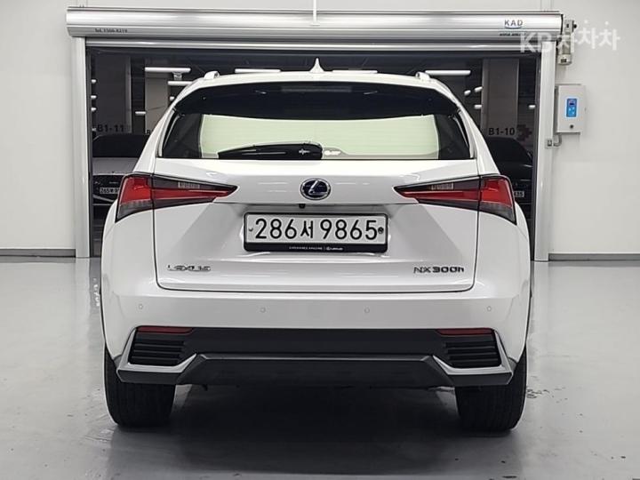 Lexus NX 300h Executive 4