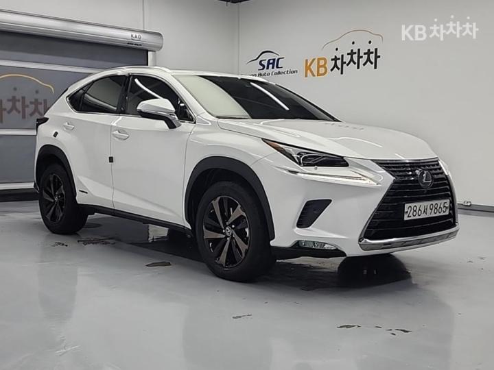 Lexus NX 300h Executive 5