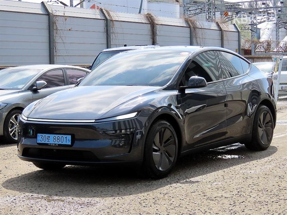 Tesla Model Y RWD 기본형 - фото 1
