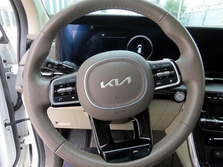 Kia Carnival D2.2 Noblesse 10