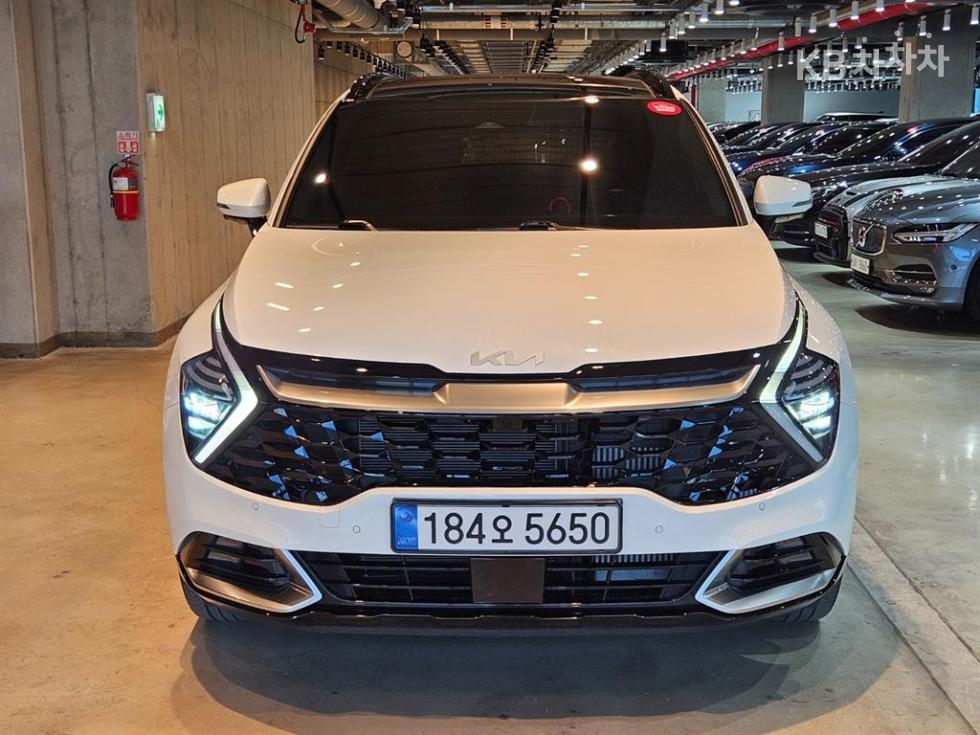 2024 - kia sportage