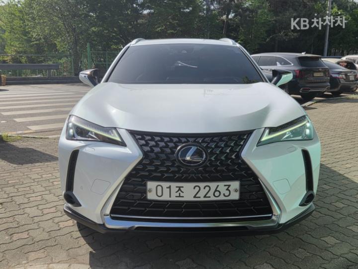 Lexus UX 250h Base Type