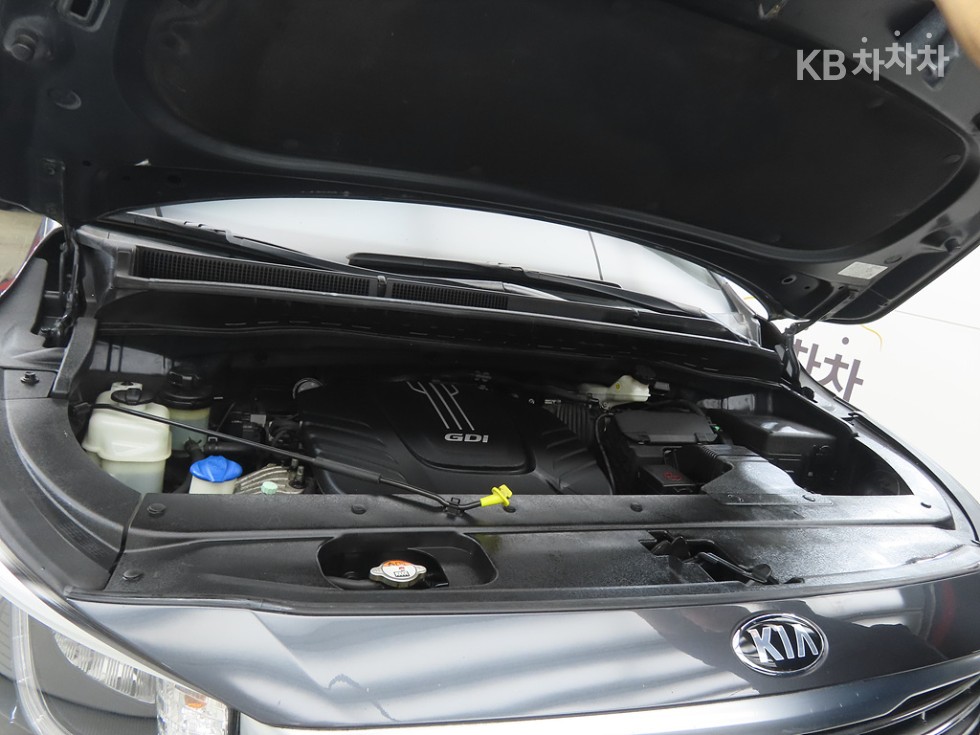 2016 - kia carnival
