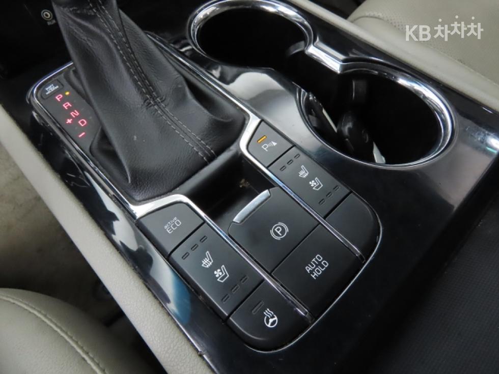2019 - kia carnival
