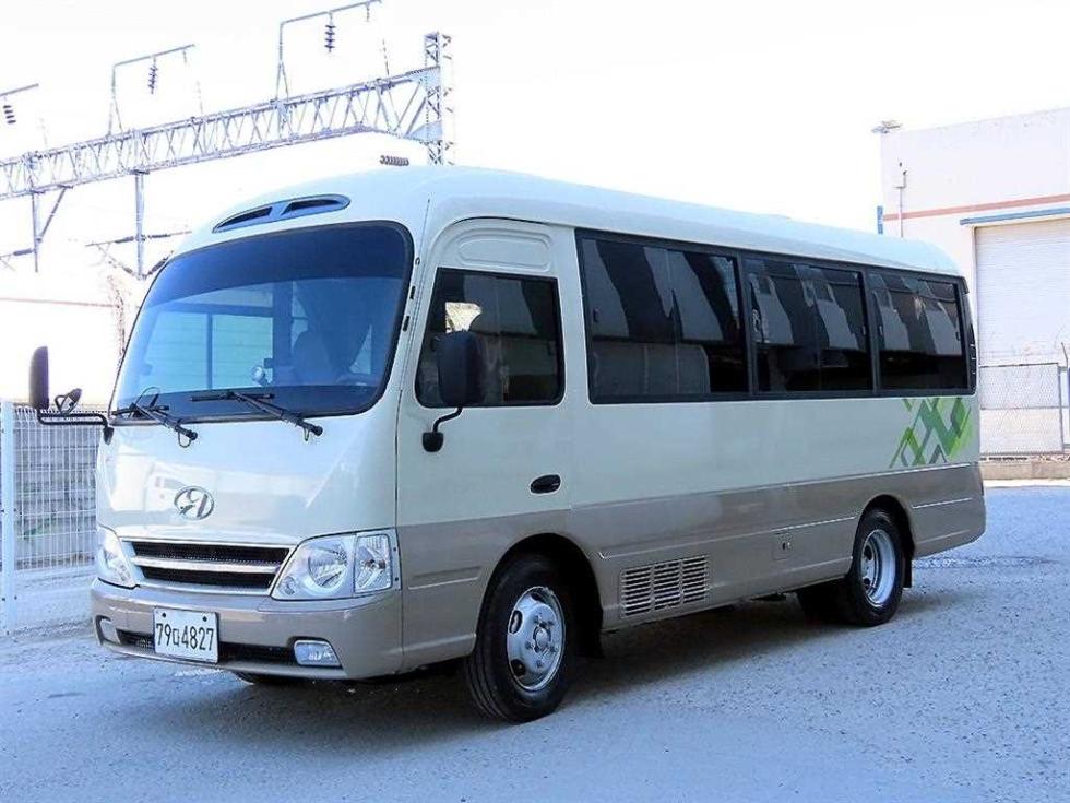 2009 - hyundai e-county